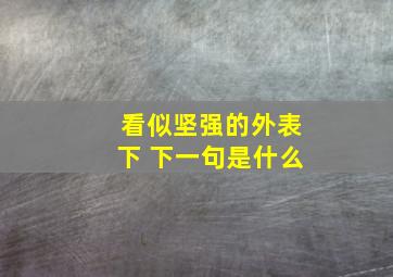 看似坚强的外表下 下一句是什么